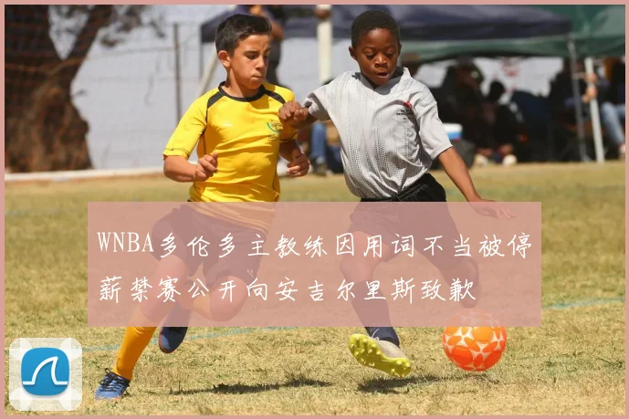 WNBA多伦多主教练因用词不当被停薪禁赛公开向安吉尔里斯致歉