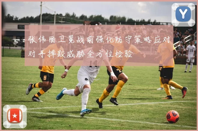 张伟丽卫冕战前强化防守策略应对对手摔跤威胁全方位检验