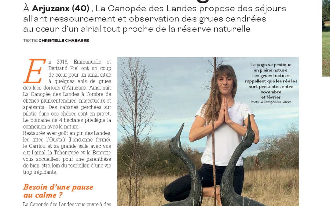 Des lieux zen