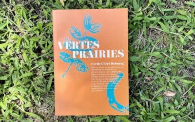 Relecture et correction d’un roman : Vertes Prairies 