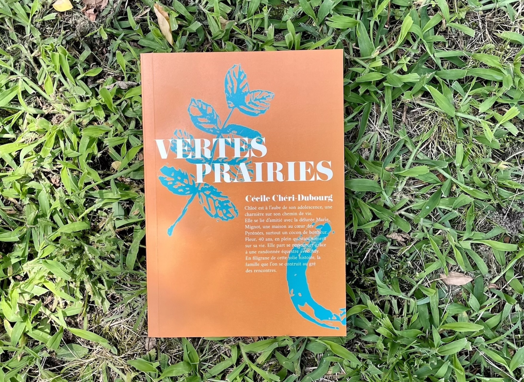 relecture-correction-roman-vertes-prairies